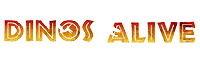 Accueil